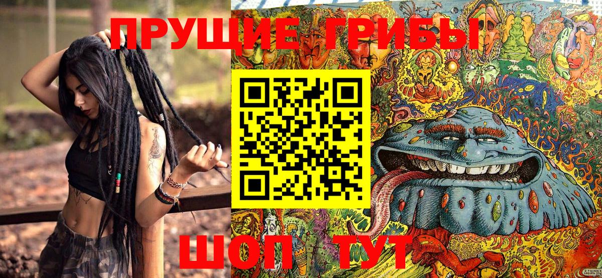 Псилоцибиновые грибы мицелий Каспийск