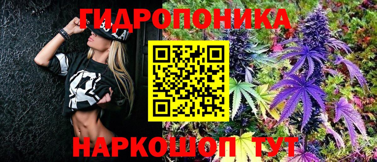 МАРИХУАНА сатива Каспийск